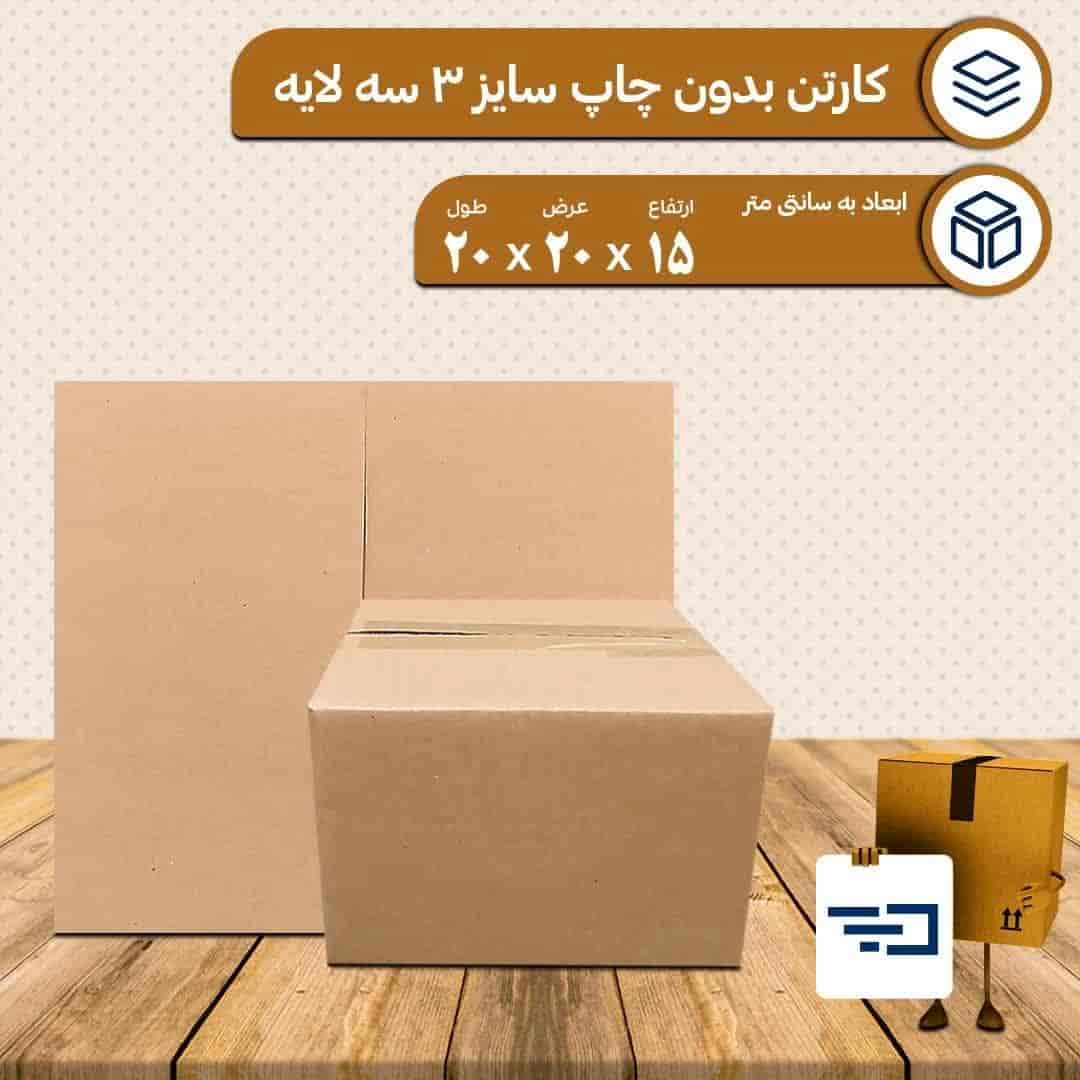 کارتن خام